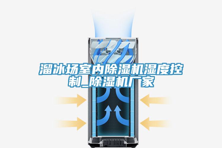 溜冰場室內(nèi)除濕機濕度控制_除濕機廠家