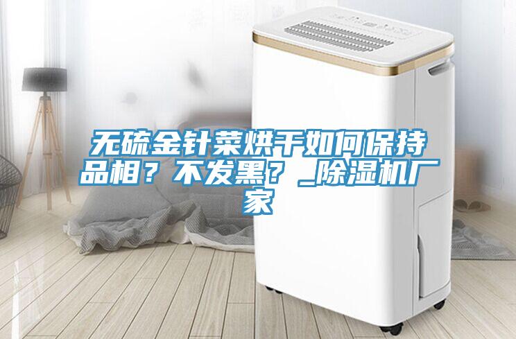 無硫金針菜烘干如何保持品相？不發(fā)黑？_除濕機(jī)廠家