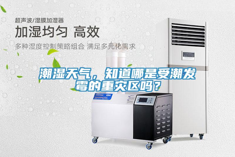 潮濕天氣，知道哪是受潮發(fā)霉的重災(zāi)區(qū)嗎？