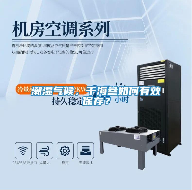潮濕氣候，干海參如何有效保存？