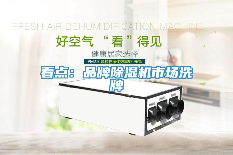 看點(diǎn)：品牌除濕機(jī)市場洗牌