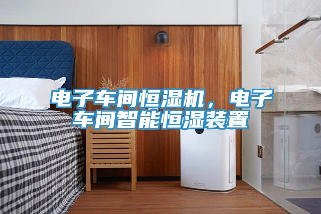 電子車間恒濕機(jī)，電子車間智能恒濕裝置