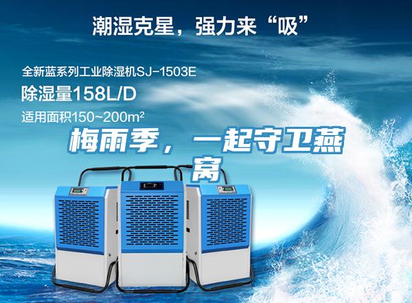 梅雨季，一起守衛(wèi)燕窩