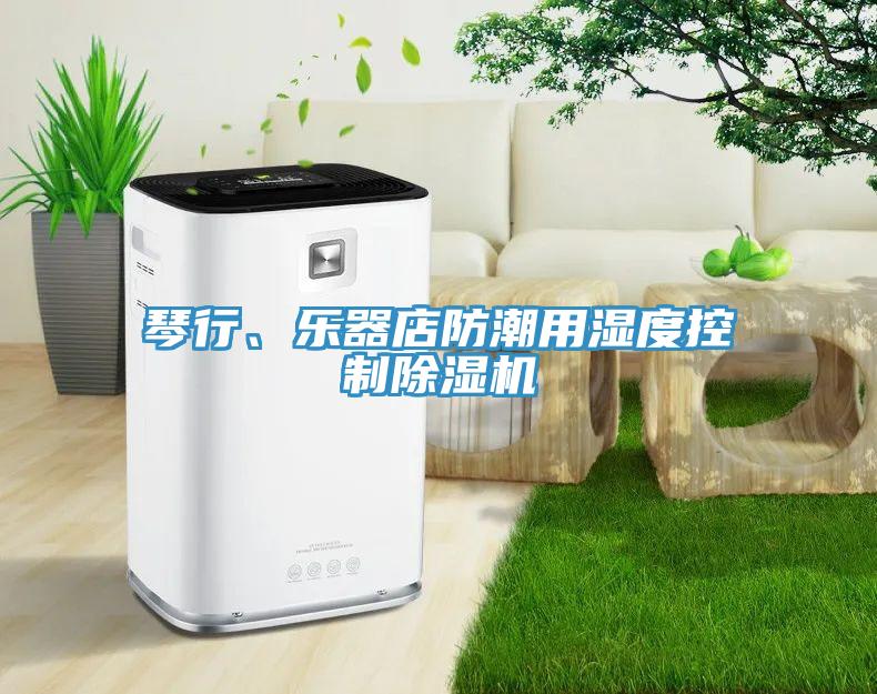 琴行、樂(lè)器店防潮用濕度控制除濕機(jī)