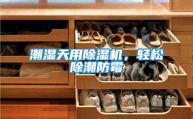 潮濕天用除濕機(jī)，輕松除潮防霉