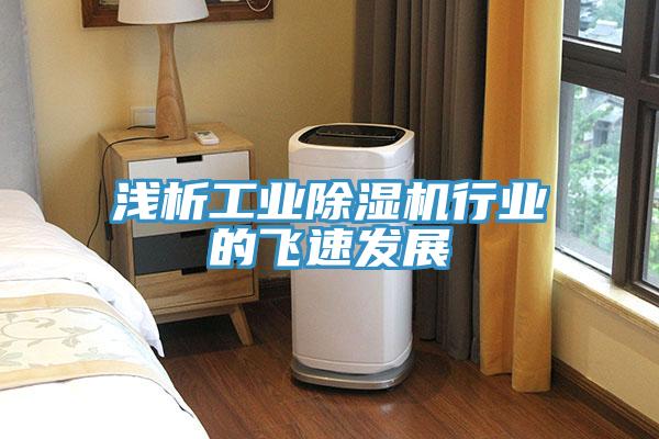 淺析工業(yè)除濕機(jī)行業(yè)的飛速發(fā)展