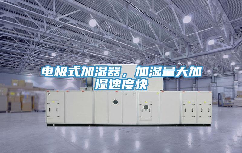 電極式加濕器，加濕量大加濕速度快