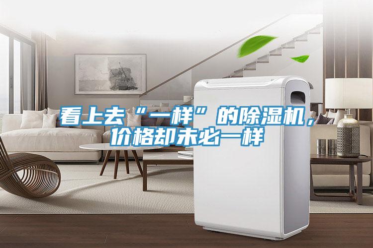 看上去“一樣”的除濕機(jī)，價(jià)格卻未必一樣