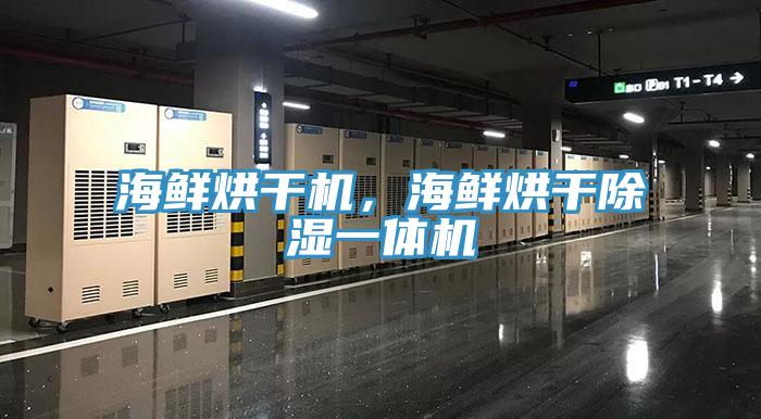 海鮮烘干機(jī)，海鮮烘干除濕一體機(jī)