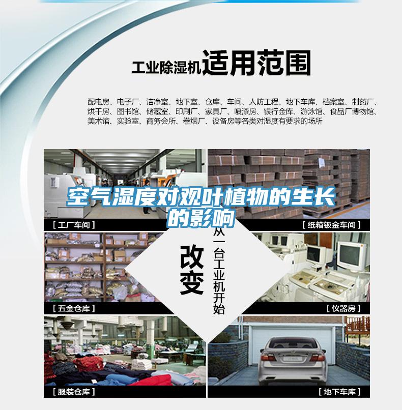 空氣濕度對(duì)觀葉植物的生長的影響