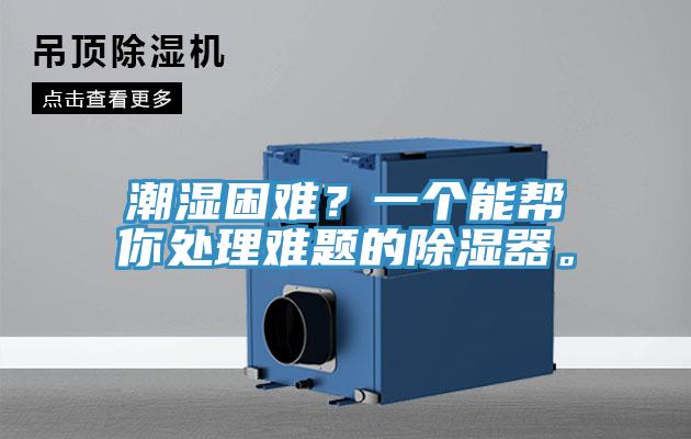 潮濕困難？一個能幫你處理難題的除濕器。