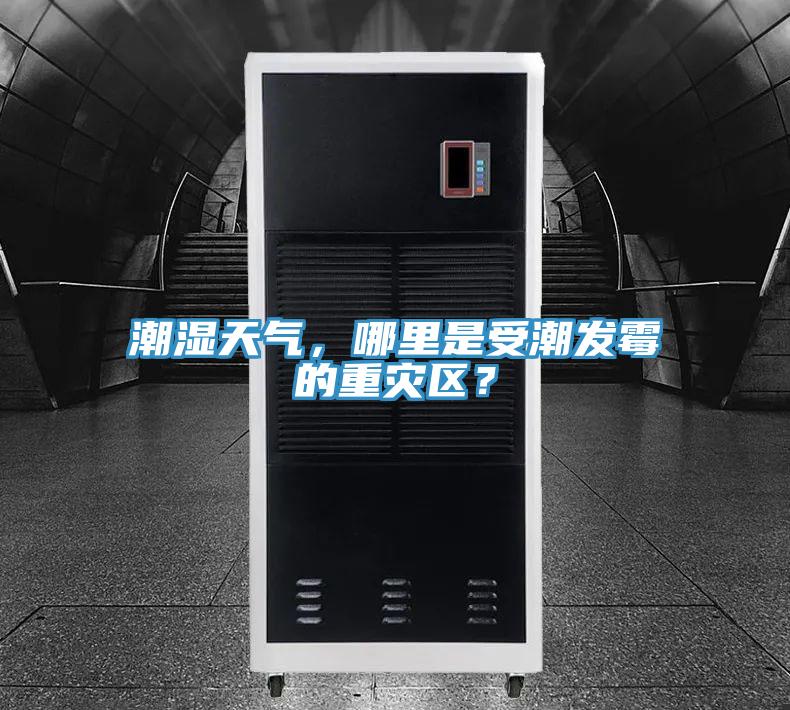 潮濕天氣，哪里是受潮發(fā)霉的重災(zāi)區(qū)？