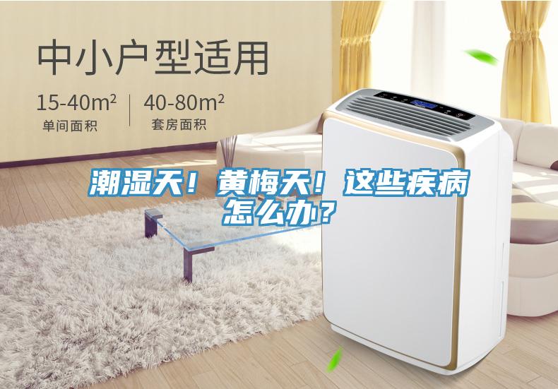 潮濕天！黃梅天！這些疾病怎么辦？
