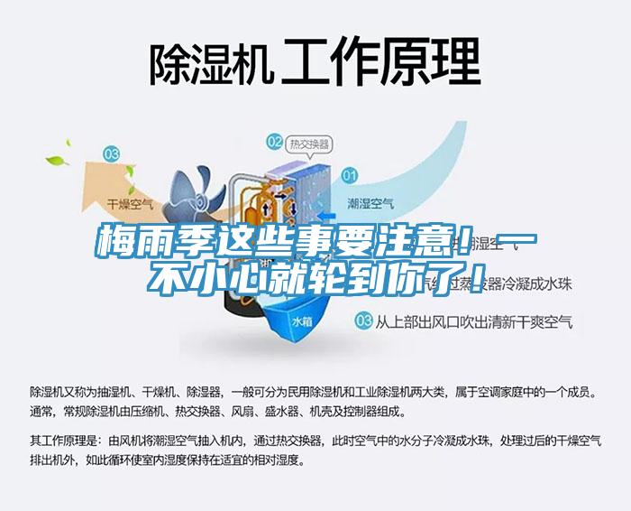 梅雨季這些事要注意！一不小心就輪到你了！