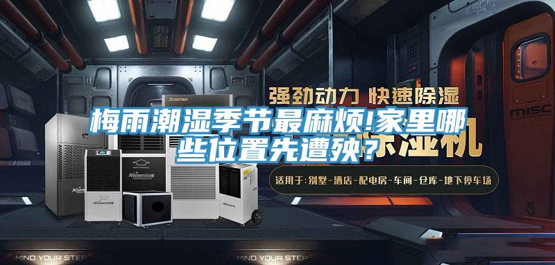 梅雨潮濕季節(jié)最麻煩!家里哪些位置先遭殃？