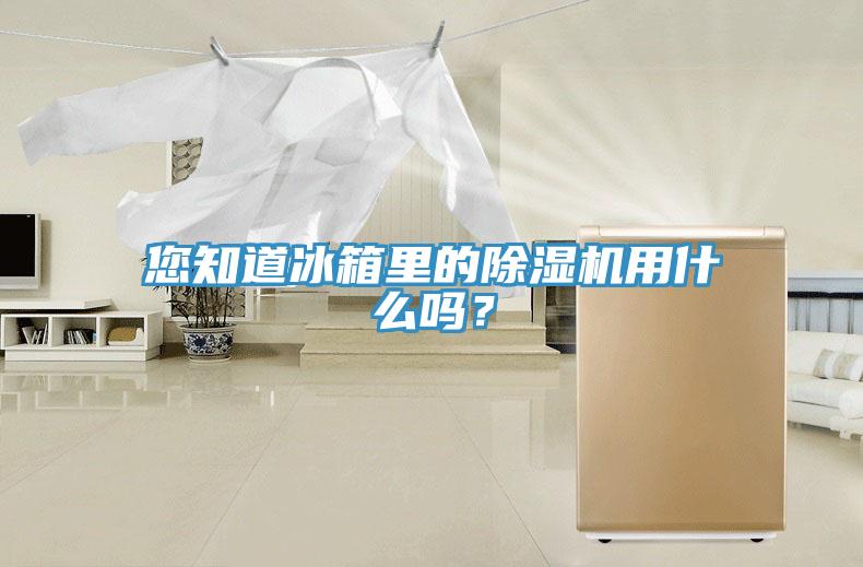 您知道冰箱里的除濕機用什么嗎？