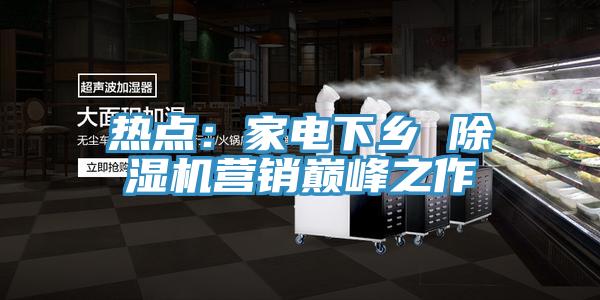 熱點(diǎn)：家電下鄉(xiāng) 除濕機(jī)營(yíng)銷巔峰之作