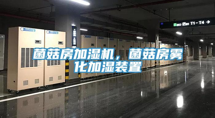 菌菇房加濕機(jī)，菌菇房霧化加濕裝置