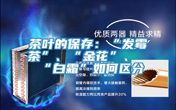 茶葉的保存：“發(fā)霉茶”、“金花”、“白霜”如何區(qū)分