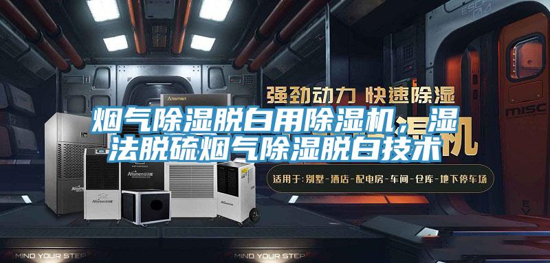 煙氣除濕脫白用除濕機，濕法脫硫煙氣除濕脫白技術(shù)