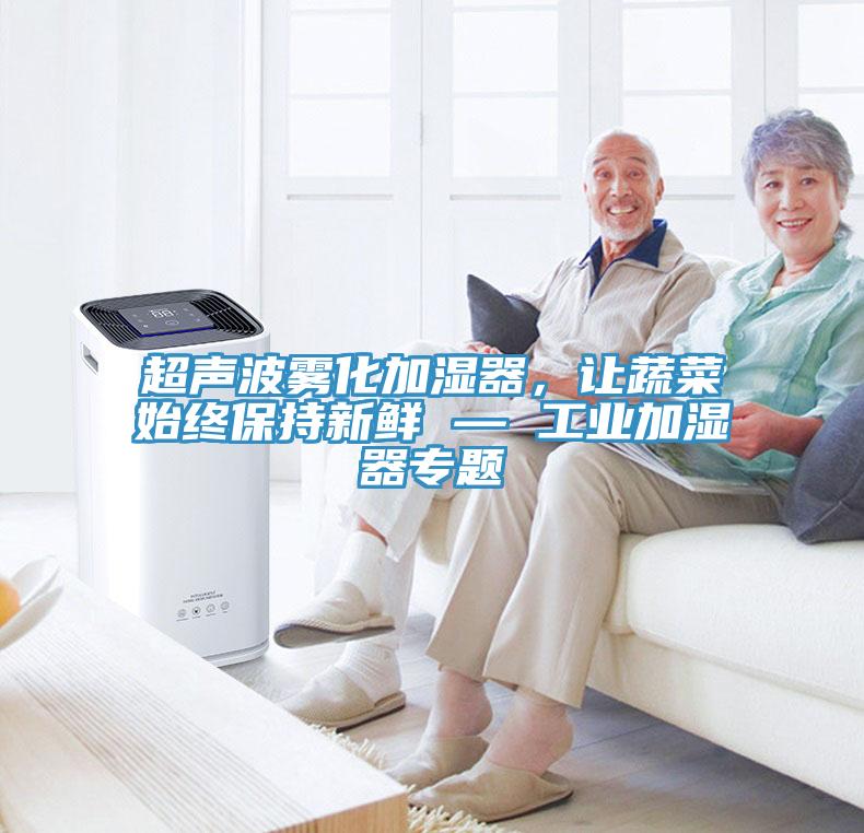 超聲波霧化加濕器，讓蔬菜始終保持新鮮 — 工業(yè)加濕器專題
