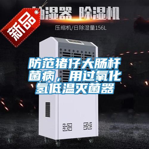防范豬仔大腸桿菌病，用過(guò)氧化氫低溫滅菌器