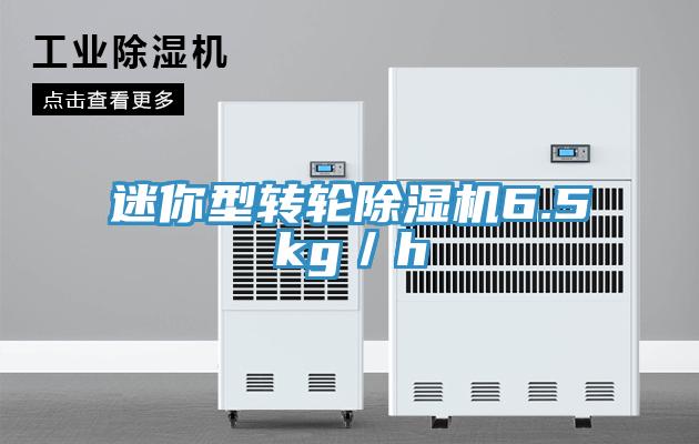 迷你型轉(zhuǎn)輪除濕機6.5kg／h