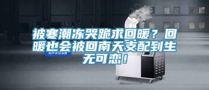 被寒潮凍哭跪求回暖？回暖也會(huì)被回南天支配到生無(wú)可戀！
