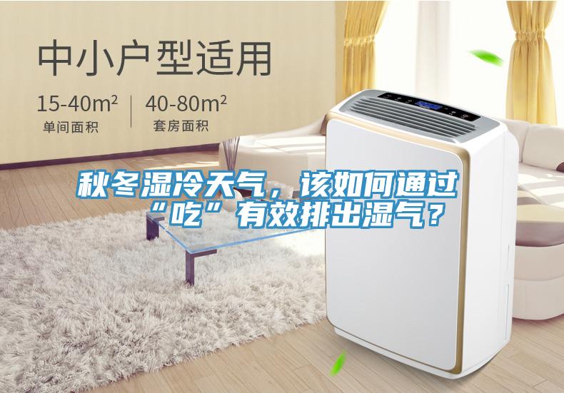 秋冬濕冷天氣，該如何通過“吃”有效排出濕氣？