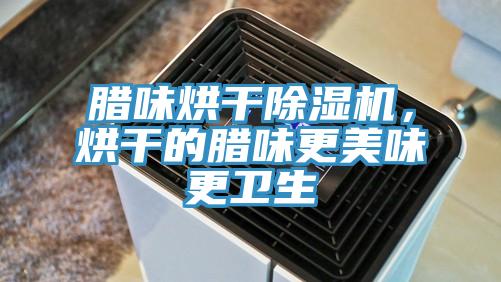 臘味烘干除濕機(jī)，烘干的臘味更美味更衛(wèi)生
