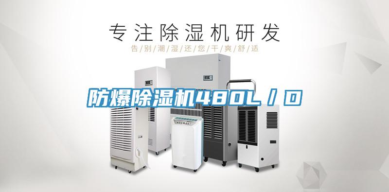 防爆除濕機(jī)480L／D