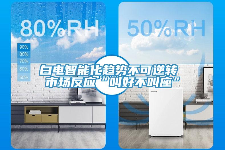 白電智能化趨勢不可逆轉(zhuǎn) 市場反應(yīng)“叫好不叫座”