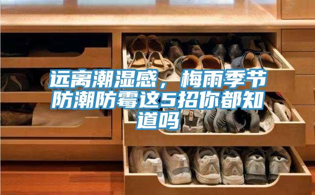 遠離潮濕感，梅雨季節(jié)防潮防霉這5招你都知道嗎