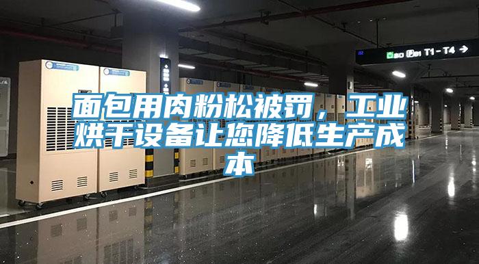面包用肉粉松被罰，工業(yè)烘干設(shè)備讓您降低生產(chǎn)成本