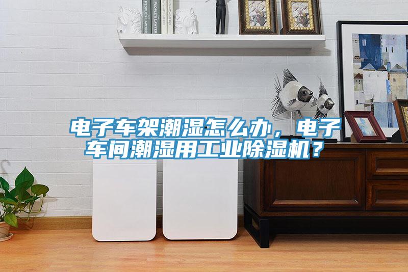 電子車架潮濕怎么辦，電子車間潮濕用工業(yè)除濕機？
