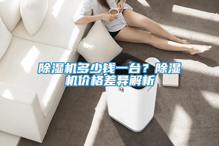 除濕機多少錢一臺？除濕機價格差異解析