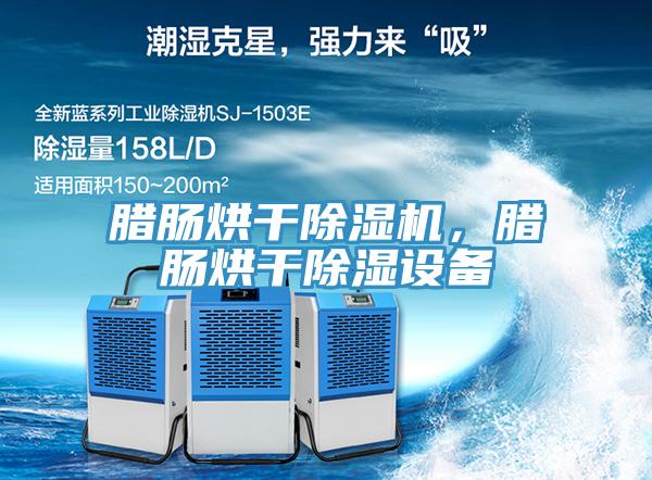 臘腸烘干除濕機，臘腸烘干除濕設(shè)備
