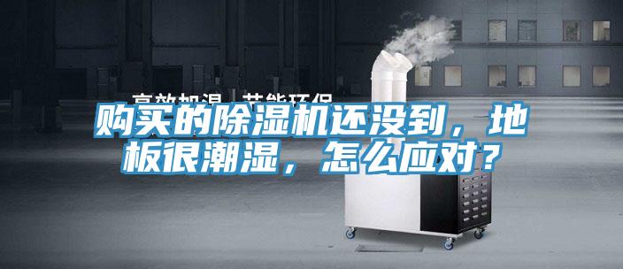 購買的除濕機還沒到，地板很潮濕，怎么應對？