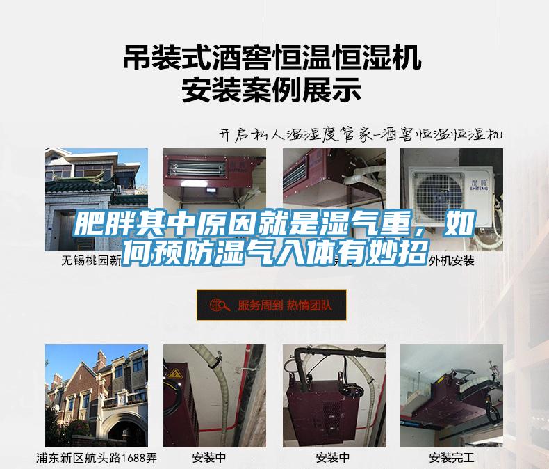 肥胖其中原因就是濕氣重，如何預(yù)防濕氣入體有妙招
