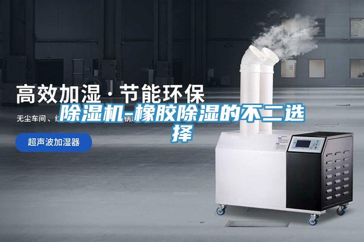 除濕機-橡膠除濕的不二選擇