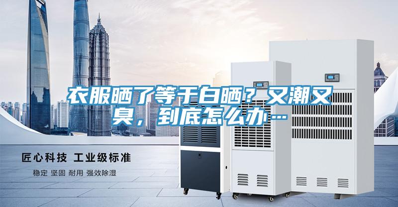衣服曬了等于白曬？又潮又臭，到底怎么辦…