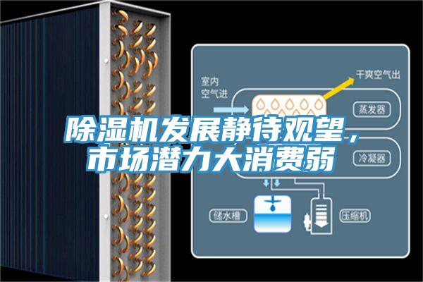 除濕機發(fā)展靜待觀望，市場潛力大消費弱