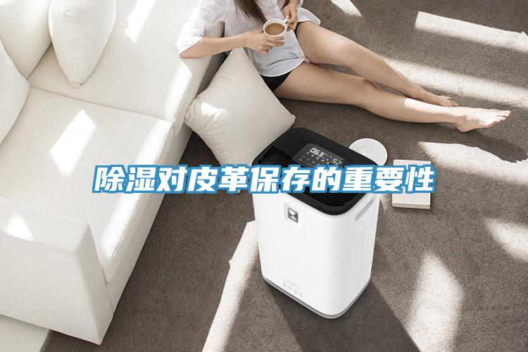 除濕對(duì)皮革保存的重要性