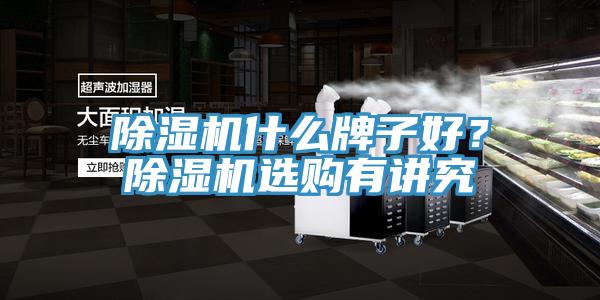 除濕機什么牌子好？除濕機選購有講究