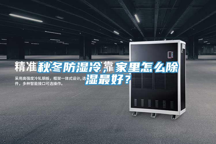 秋冬防濕冷，家里怎么除濕最好？