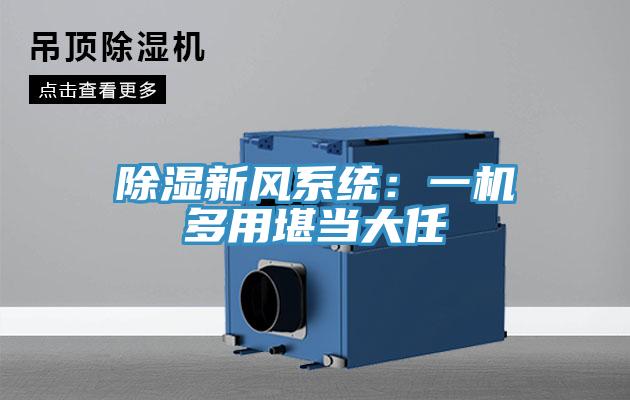 除濕新風(fēng)系統(tǒng)：一機多用堪當(dāng)大任