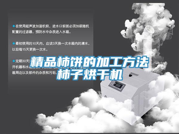 精品柿餅的加工方法柿子烘干機(jī)