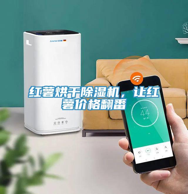 紅薯烘干除濕機(jī)，讓紅薯價(jià)格翻番