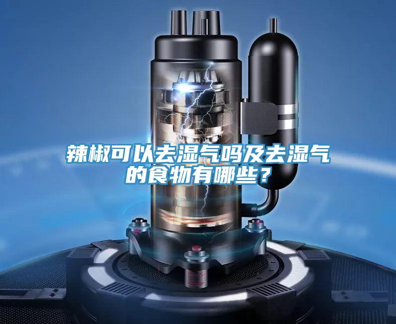 辣椒可以去濕氣嗎及去濕氣的食物有哪些？