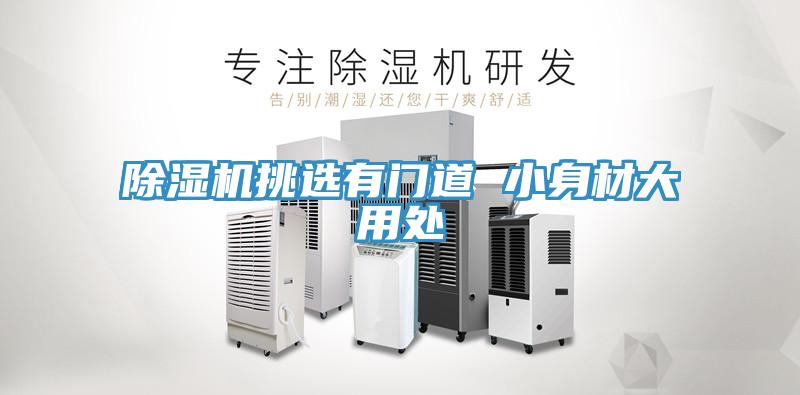 除濕機(jī)挑選有門道 小身材大用處